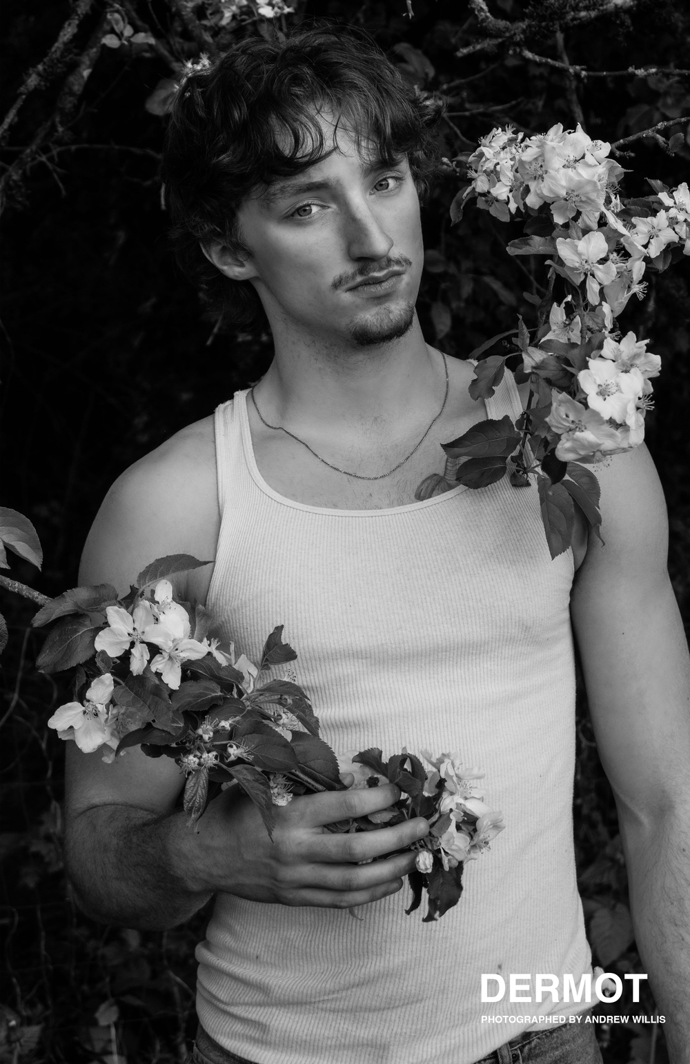 DERMOT Vintage Homoerotic Orchard Poster - Masculine Elegance in